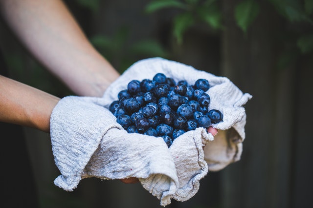 Blueberries Weight Loss