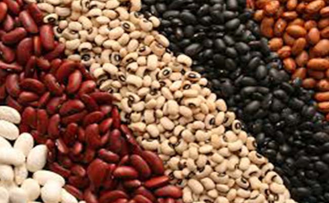 best food for weight loss beans