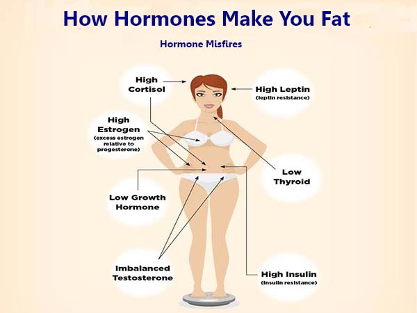 Hormones Imbalance Factors