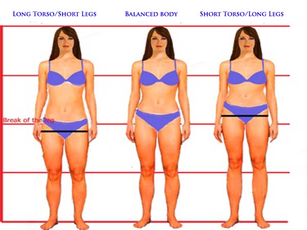 torso waist trainer measurement