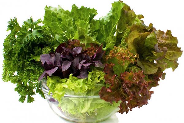green leafy vegetables superfoods best for your brain