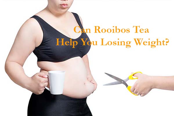 Can Rooibos Tea help you to weight loss