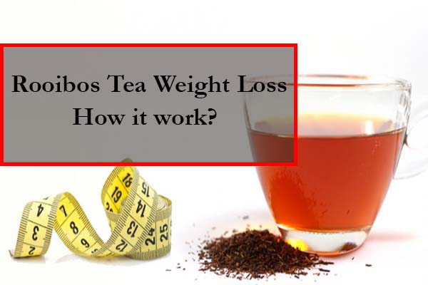 Rooibos Tea Weight Loss - Really Work