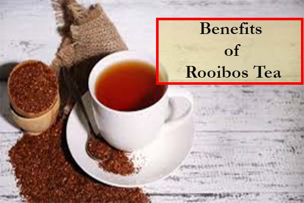 benefits of Rooibos Tea