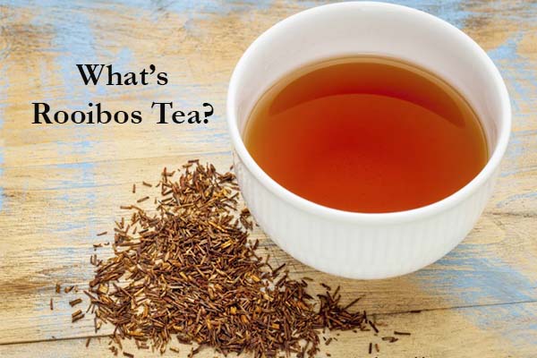 what is rooibos tea